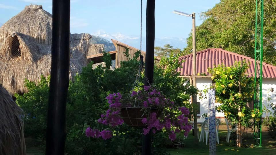 Palomino Breeze Hostal Buitenkant foto