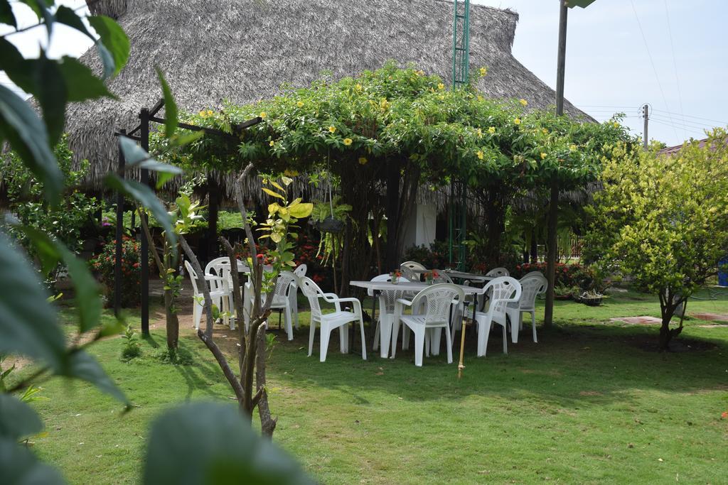 Palomino Breeze Hostal Buitenkant foto